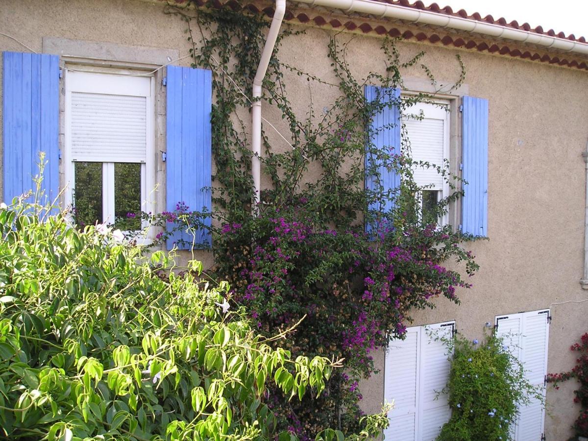 Papy Apartment Gruissan